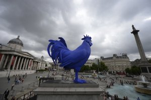 Yes, this is the cock. Big and blue and...birdy. 