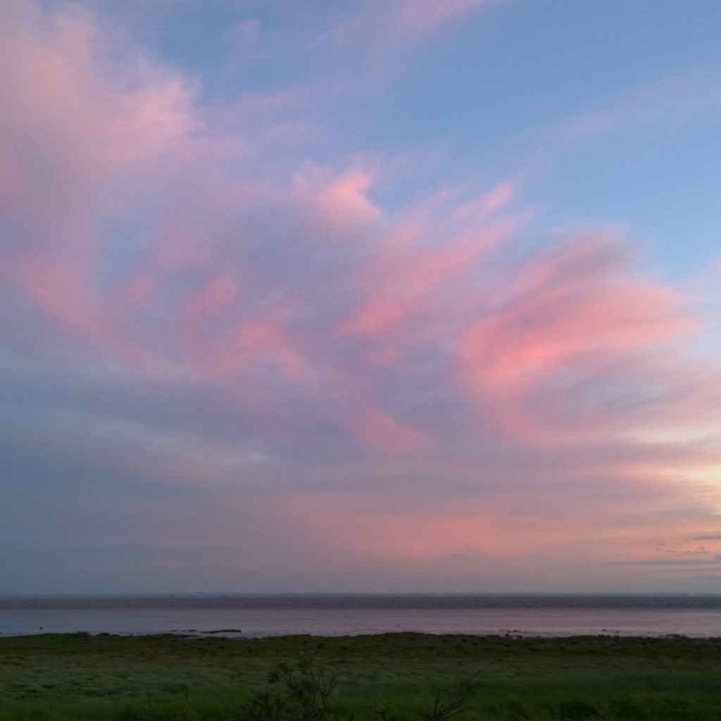 InstagramCapture_2dc36f18-6dac-49b2-8a29-fb70b5893850